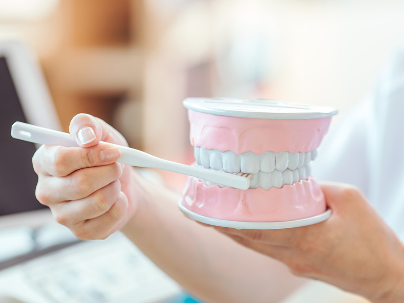 どんなことをしてもらえるの？